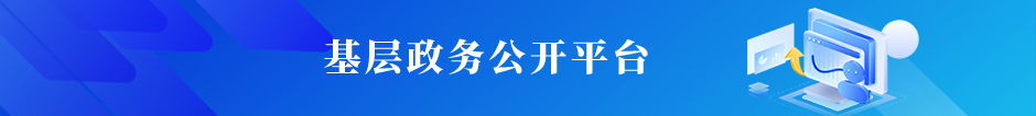 基层政务公开平台