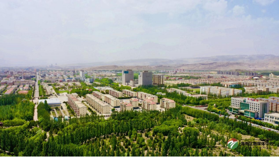 海南区：多维发力优环境 赋能经济高质量发展新图景