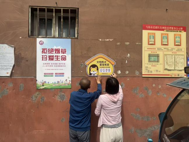 图片20